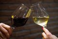 PP demande à Von der Ley d'utiliser une voie diplomatique pour éviter les tarifs sur le secteur du vin par les États-Unis