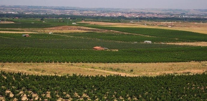 Les irrigateurs demandent une réciprocité dans la contre-offensive pour être « énergique et proportionnel »