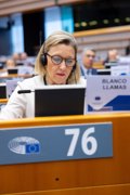 White revendique la « sécurité » de l'UE au secteur automobile