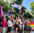 Les manifestants se mobilisent devant l'ambassade de la Hongrie pour exiger de l'Europe la défense ferme des droits LGTBI +
