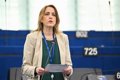 Maître (PSOE) exige des règles « claires » dans l'UE pour renforcer la position des agriculteurs dans la chaîne de valeur