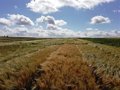 L'UAG-Coag apprécie que l'UE réduit les importations de produits de blé, d'orge, de sucre et d'autres produits ukrainiens