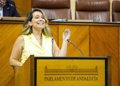 PP et Vox approuvent au Parlement pour élever le gouvernement pour « cesser sa procédure » avec les États-Unis pour «interférer» dans les tarifs