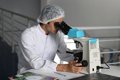 Andalousie atteint une collection « record » de fonds européens pour la R&D, avec 279,7 millions entre 2021 et 2024