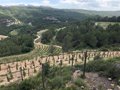 L'UE autorise les phoques du produit du vin et du feu pour reconnaître les combats en incendie