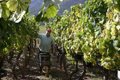 L'agriculture d'agriculture aide à 4,3 millions pour les organisations agricoles les plus représentatives