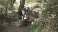 A décerné la plantation de près de 2 000 arbres dans le bassin minier de Huelva et de la Sierra pour créer un couloir vert
