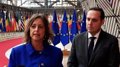 Andalousie défend à Bruxelles la position commune de la CCAA sur l'objectif climatique de l'UE