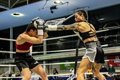 Cristina Navarro affrontera le Parigi italien pour le championnat européen de poids du poids minimum
