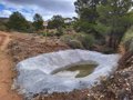 La communauté fait la promotion de la conservation de la faune protégée à Jumilla, Lorca et Moratalla