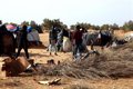 Amnesty met en garde contre la « complicité » de l'UE dans les abus des autorités tunisiennes contre les migrants
