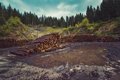 L'Espagne rejoint une initiative de l'UE visant à dissocier la production agricole de la déforestation