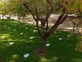 Le projet DigiWaGu, coordonné par CITA, sollicite l'avis des utilisateurs des espaces verts de Huesca et Teruel