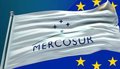 Les 27 approuvent les garde-fous agricoles conçus par Bruxelles pour sauver l'accord avec le Mercosur