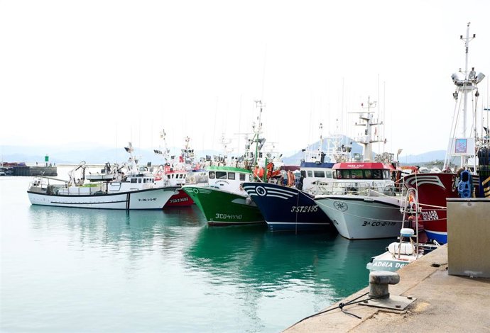 Huelva et Cadix bénéficient d'une augmentation du quota d'anchois à 11 639 tonnes et de thon rouge à 7 938 tonnes