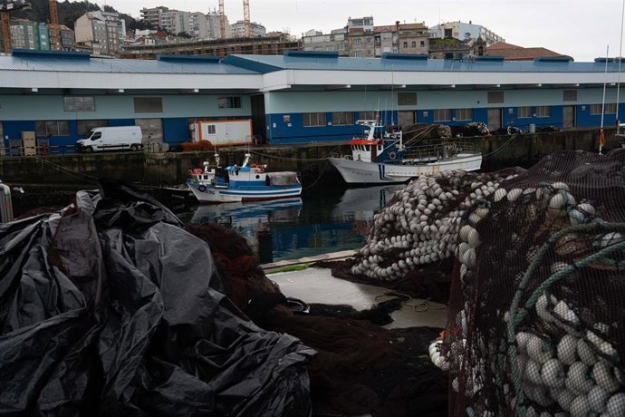 Le Parlement demande au gouvernement un cadre transitoire pour les nouveaux contrôles de la pêche qui évite les sanctions