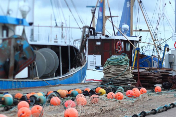 Le gouvernement et le secteur de la pêche conviennent de flexibilités dans l'application des nouveaux contrôles de l'UE