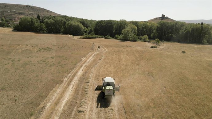 La Cour des comptes européenne assure que l'innovation agricole n'est pas suffisamment encouragée dans l'UE
