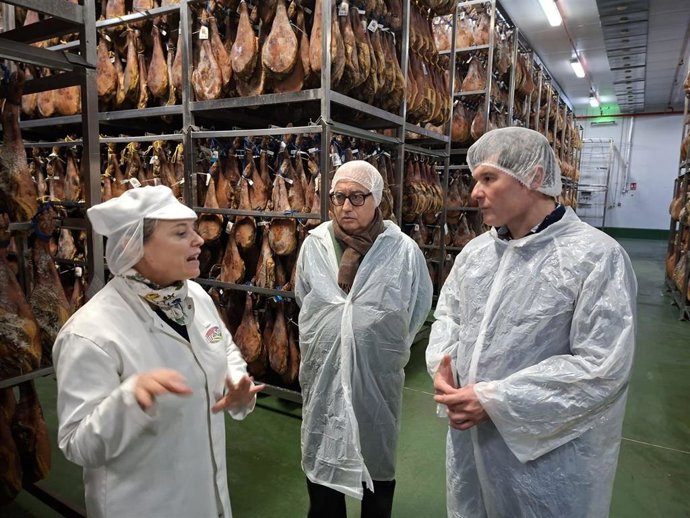 Le PP d'Aragon revendique la truffe noire comme « axe stratégique » pour Teruel