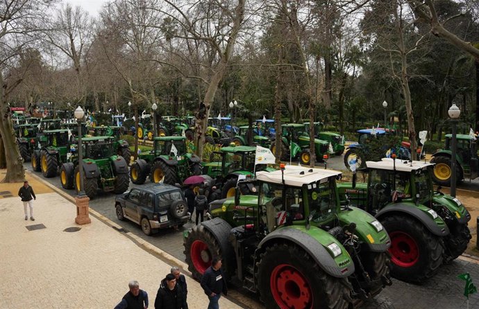 Le PP et le PSOE refusent de laisser en jachère l'accord avec le Mercosur en attendant la ratification parlementaire