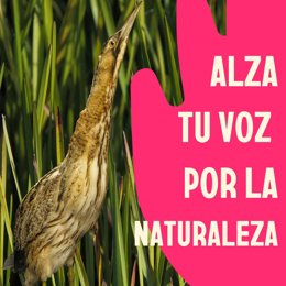 Les ONG environnementales rassemblent des signatures pour que les lois européennes sur la nature « ne soient pas touchées »