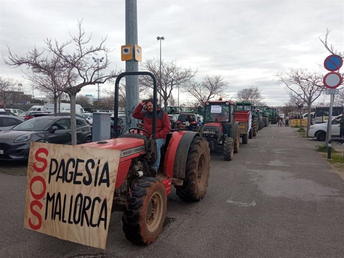 Majorque soutient ses agriculteurs contre la « concurrence déloyale » du Mercosur et réclame des compensations pour la PAC