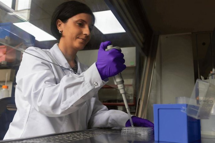 L'Icmab mène un projet qui créera des tumeurs artificielles pour lutter contre le cancer du poumon