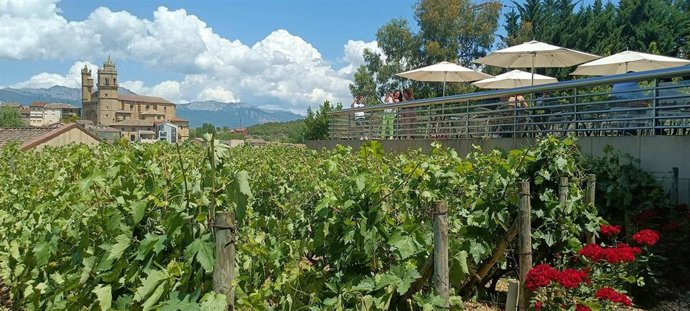 Le Gouvernement Basque soutient l'approbation de l'augmentation à 60% de l'intensité de l'aide européenne à la promotion du vin