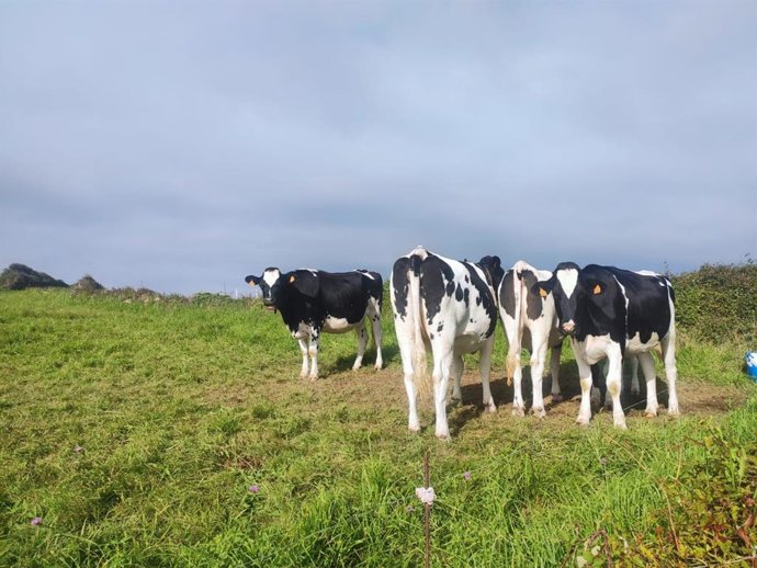 Les agriculteurs asturiens exigent des mécanismes pour éliminer les excédents de lait et stabiliser le marché