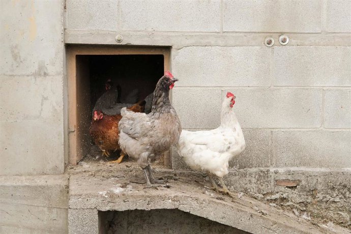 Les scientifiques recommandent à l'UE d'éliminer de la PAC les paiements qui encouragent les pratiques à plus forte intensité de CO2