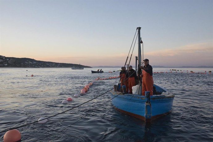 Le Parlement européen appelle à des missions navales pour lutter contre la pêche illégale et les flottes fantômes dans les eaux européennes