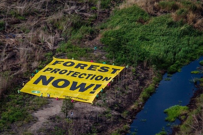 Greenpeace juge « décevant » que Bruxelles propose d'exclure le cuir de la loi contre la déforestation