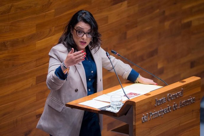 Le Conseil général rejette la paralysie de l'accord UE-Mercosur avec l'opposition de la quasi-totalité de la Chambre à une proposition de Vox