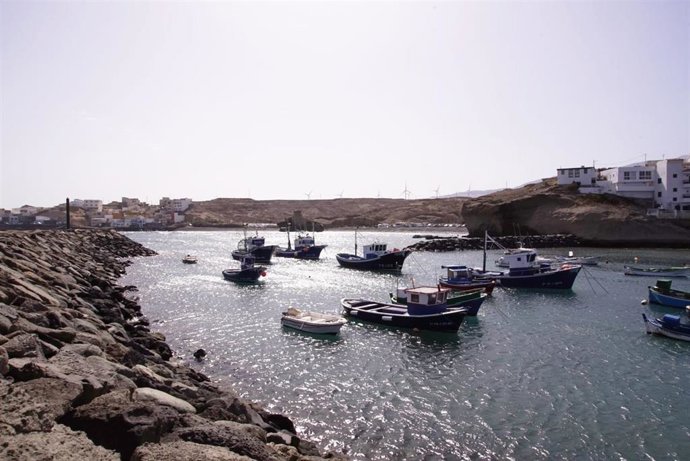 La pêche artisanale apprécie le soutien du Parlement des Îles Canaries pour l'adaptation du règlement de contrôle de l'UE