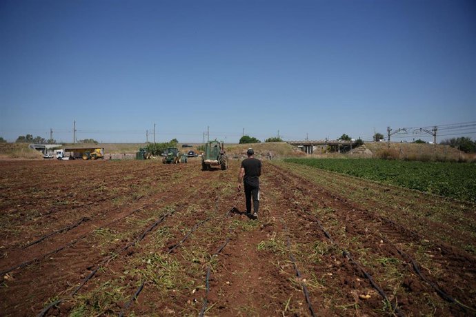 Les Vingt-Sept donnent leur feu vert aux aides aux agriculteurs en raison de la hausse du prix des engrais