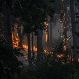 Bruxelles porte à six le nombre d'avions envoyés en Espagne et déploie 134 pompiers portugais pour lutter contre les incendies