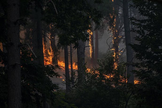 Bruxelles porte à six le nombre d'avions envoyés en Espagne et déploie 134 pompiers portugais pour lutter contre les incendies