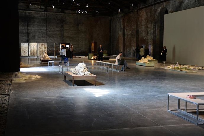 L'UE annule une aide de deux millions d'euros à la Biennale de Venise pour ne pas avoir opposé son veto à la participation de la Russie