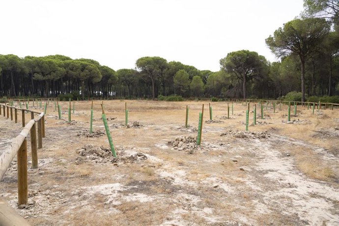 La Mairie d'Almonte (Huelva) intervient dans la récupération de quatre lagunes temporaires dans les Montes Ordenadas