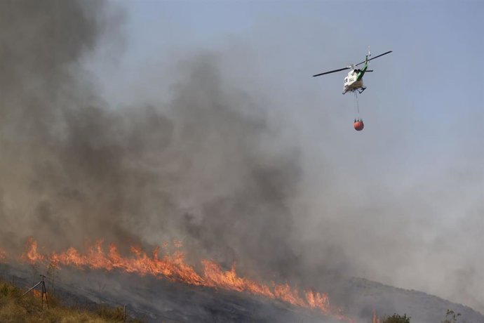 Le Gouvernement apprécie les expressions internationales de solidarité face à l'incendie de Los Gallardos (Almería)