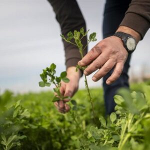 COAG demande à l'UE de mettre à jour la directive Nitrates pour faciliter l'utilisation d'engrais organiques locaux