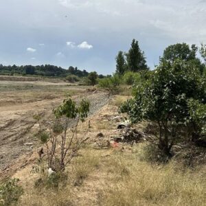 Economía-AVA-Asaja demande au gouvernement d'allouer une partie du FSUE à la Communauté en raison des répercussions imminentes de la dana