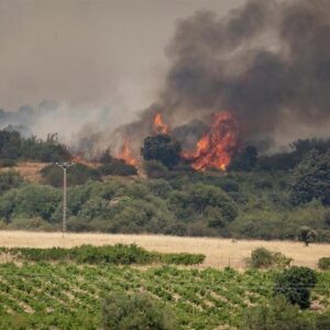 L'Espagne enregistre 265 457 hectares brûlés jusqu'au 12 août, soit plus de la moitié de ceux de l'UE, selon Copernicus