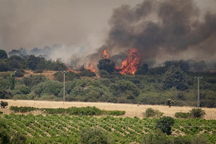 L'Espagne enregistre 265 457 hectares brûlés jusqu'au 12 août, soit plus de la moitié de ceux de l'UE, selon Copernicus
