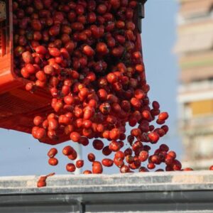 L'Union des syndicats exige que la crise de Ceuta ne soit pas résolue par de nouvelles concessions agraires au Maroc