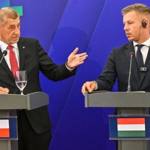 La Hongrie et la République tchèque minent l'aide de l'UE à l'Espagne en estimant qu'elle n'a pas fait son « travail » à Ceuta