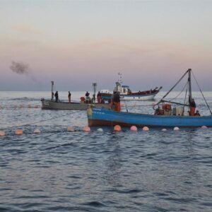 Le Parlement européen demande d'adapter les quotas de pêche à chaque type de flotte et d'égaliser les exigences d'importation