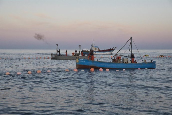 Le Parlement européen demande d'adapter les quotas de pêche à chaque type de flotte et d'égaliser les exigences d'importation