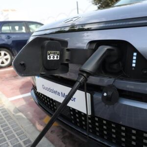 Les Européens soutiennent toutes les options de propulsion pour leurs voitures face aux restrictions européennes