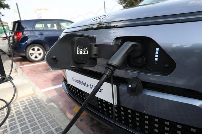 Les Européens soutiennent toutes les options de propulsion pour leurs voitures face aux restrictions européennes